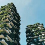 4 Passi per Integrare il Biophilic Design Minimalista nella Tua Casa